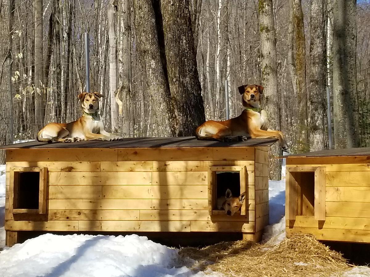 Les Cabines Nordik Des Piles Villa Saint-Jean-des Piles Exteriör bild