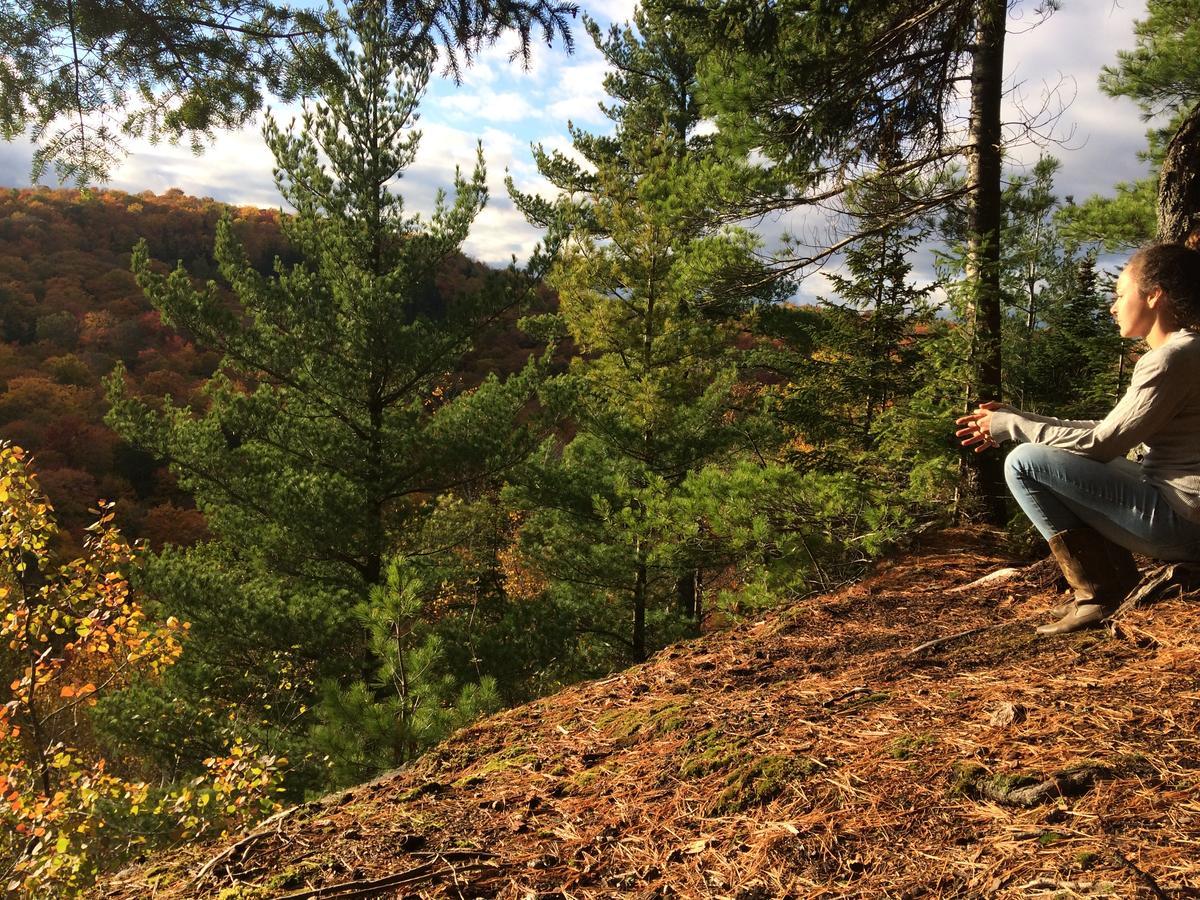 Les Cabines Nordik Des Piles Villa Saint-Jean-des Piles Exteriör bild