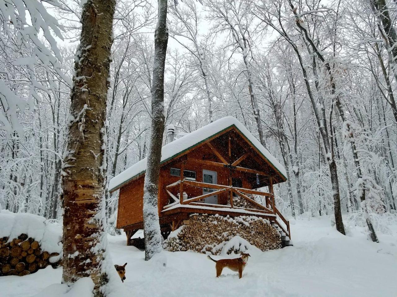 Les Cabines Nordik Des Piles Villa Saint-Jean-des Piles Exteriör bild