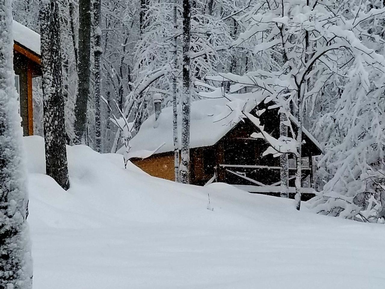 Les Cabines Nordik Des Piles Villa Saint-Jean-des Piles Exteriör bild