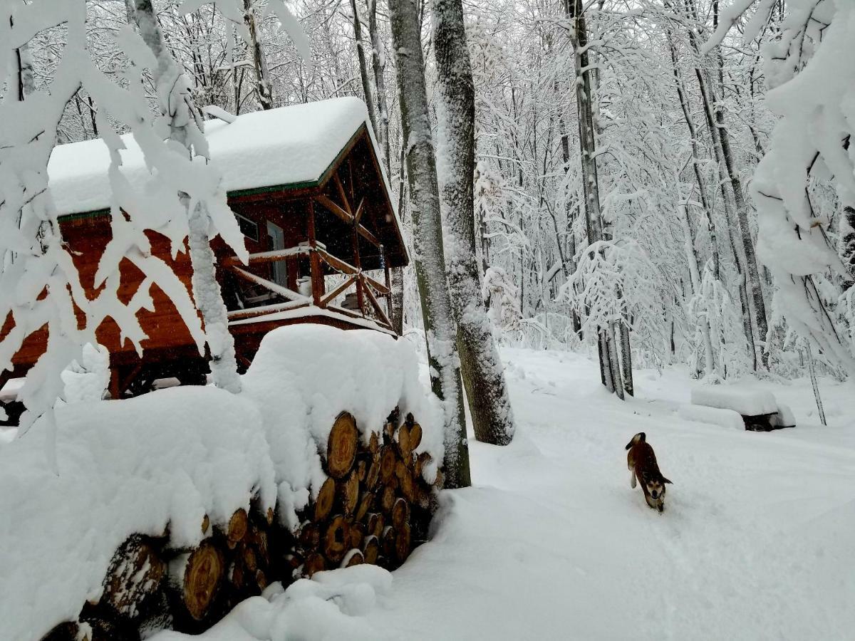 Les Cabines Nordik Des Piles Villa Saint-Jean-des Piles Exteriör bild